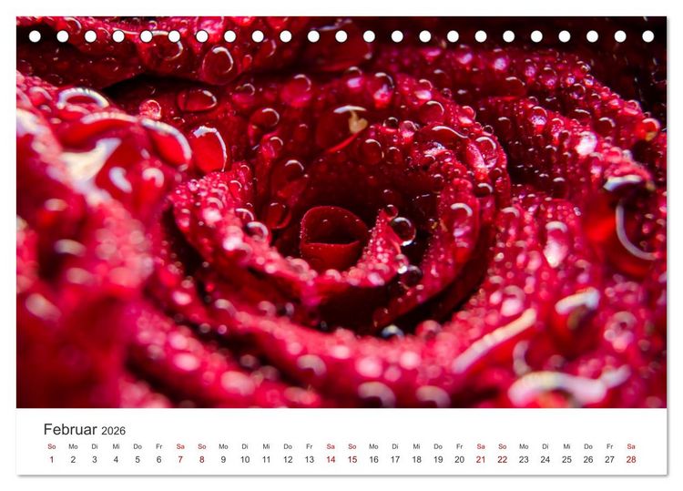 Produktbild: Die magische Welt der Blumen (Tischkalender 2026 DIN A5 quer), CALVENDO Monatskalender