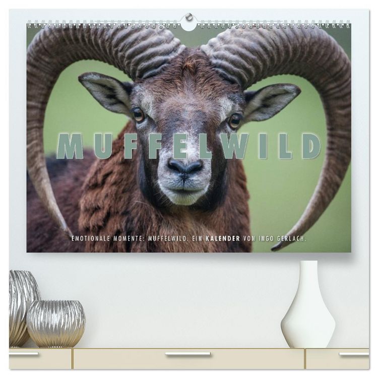 Produktbild: Emotionale Momente: Muffelwild. (hochwertiger Premium Wandkalender 2026 DIN A2 quer), Kunstdruck in Hochglanz