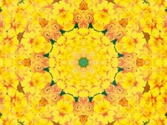 Produktbild: CALVENDO Puzzle Gelbe Energie | 1000 Teile Lege-Gr&ouml;&szlig;e 64x48cm Foto-Puzzle f&uuml;r gl&uuml;ckliche Stunden