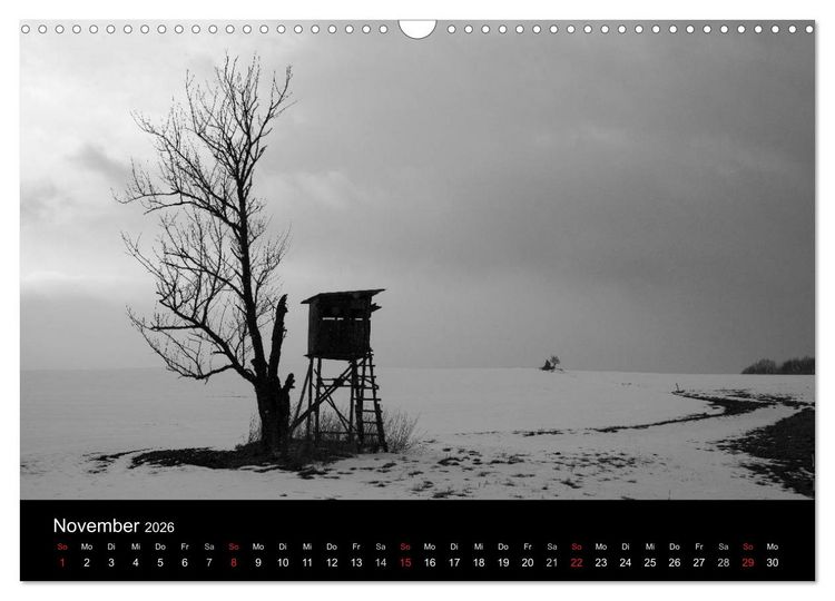 Produktbild: B&auml;ume trees 2026 (Wandkalender 2026 DIN A3 quer), CALVENDO Monatskalender
