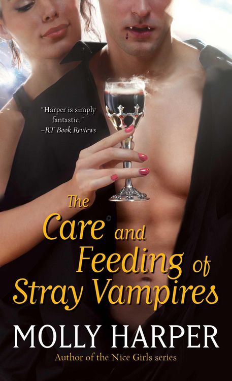 Produktbild: The Care and Feeding of Stray Vampires