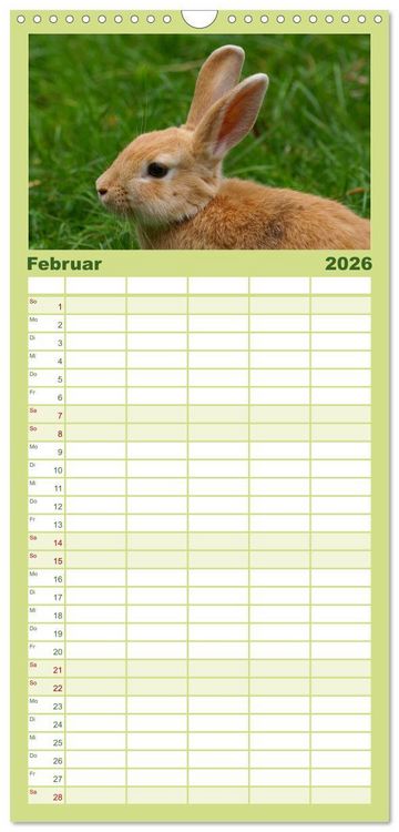 Produktbild: Familienplaner 2026 - Liebenswerte Zwergkaninchen mit 5 Spalten (Wandkalender, 21 x 45 cm) CALVENDO