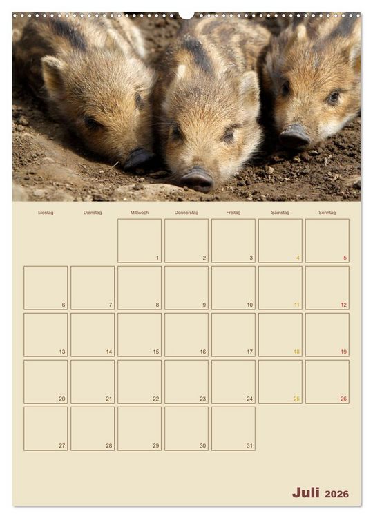 Produktbild: Wildschweine (hochwertiger Premium Wandkalender 2026 DIN A2 hoch), Kunstdruck in Hochglanz