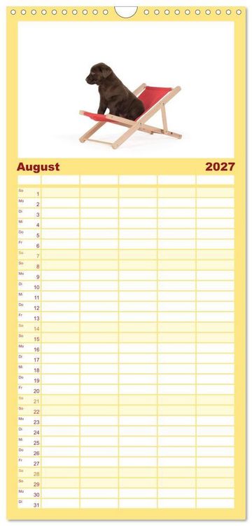 Produktbild: Familienplaner 2027 - Labrador - Welpen mit 5 Spalten (Wandkalender, 21 x 45 cm) CALVENDO