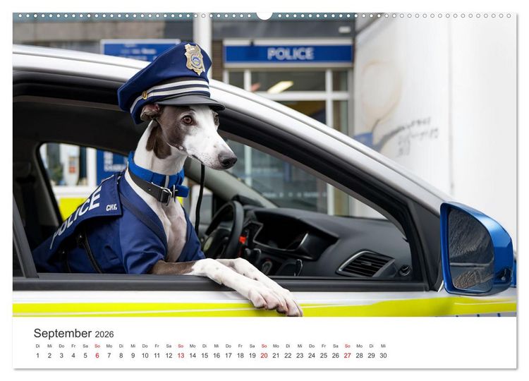 Produktbild: Funny Greyhounds - Windhunde mal anders (Wandkalender 2026 DIN A2 quer), CALVENDO Monatskalender