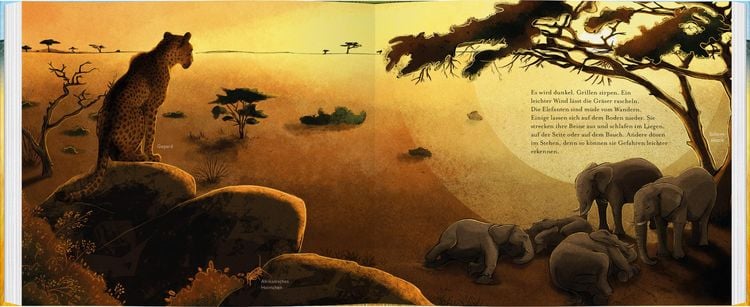 Produktbild: Der kleine Elefant