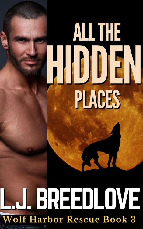 Produktbild: All the Hidden Places