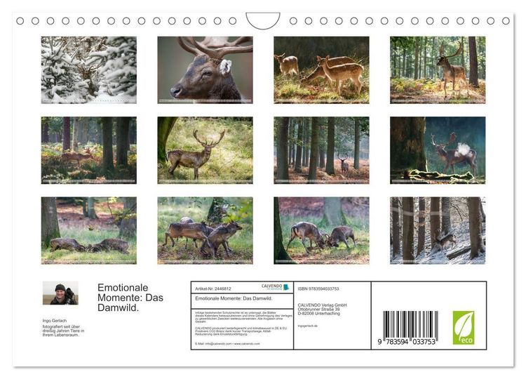 Produktbild: Emotionale Momente: Das Damwild. (Wandkalender 2027 DIN A4 quer), CALVENDO Monatskalender