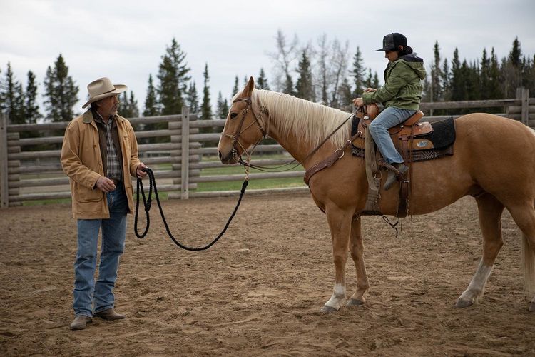Produktbild: Heartland - Paradies f&uuml;r Pferde - Staffel 13 (Neuauflage) [4 DVDs]