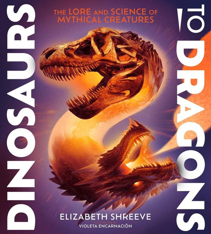 Produktbild: Dinosaurs to Dragons