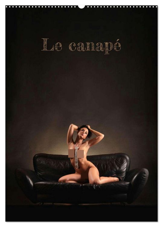 Produktbild: Le canap&eacute; (Calendrier mural 2026 DIN A2 horizontal), CALVENDO calendrier mensuel