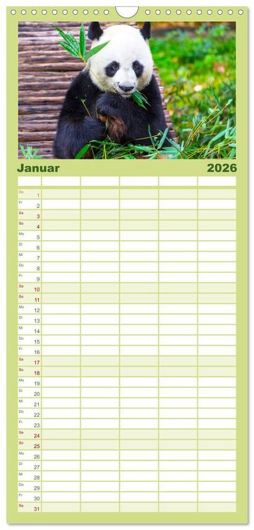 Produktbild: Familienplaner 2026 - B&auml;ren - Pandas, Grizzlyb&auml;ren und Co. mit 5 Spalten (Wandkalender, 21 x 45 cm) CALVENDO
