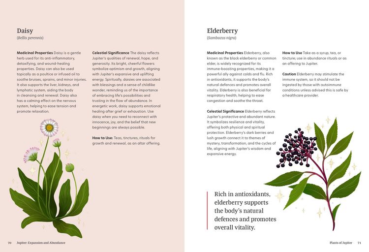 Produktbild: Astro Herbalism
