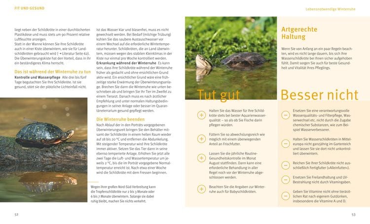 Wasserschildkröten