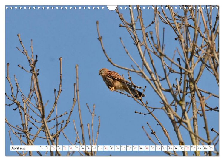 Produktbild: Zauberhaftes Mangfalltal (Wandkalender 2026 DIN A3 quer), CALVENDO Monatskalender