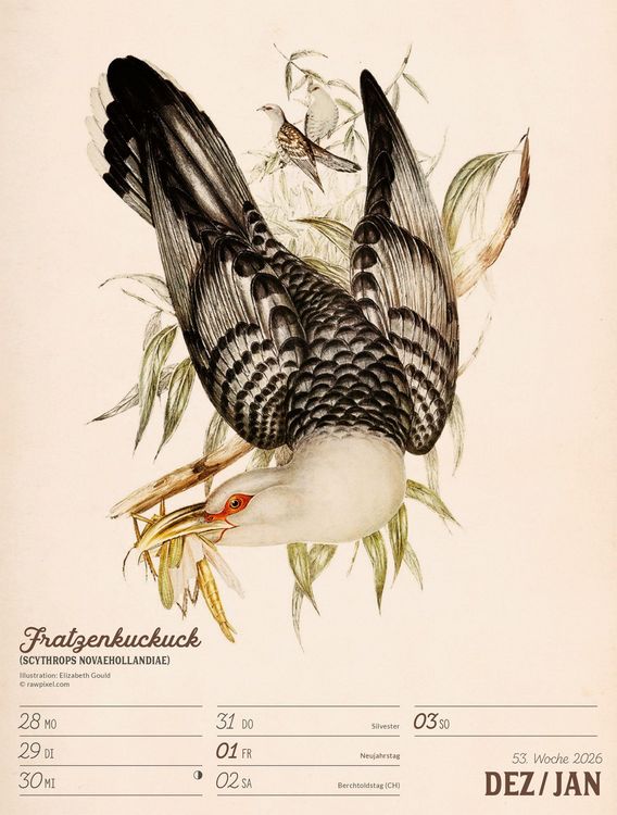 Produktbild: Wunderbare Vogelwelt Wochenplaner Kalender 2027