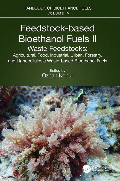 Produktbild: Feedstock-based Bioethanol Fuels. II. Waste Feedstocks