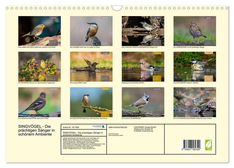 Produktbild: SINGV&Ouml;GEL - Die pr&auml;chtigen S&auml;nger in sch&ouml;nem Ambiente (Wandkalender 2026 DIN A3 quer), CALVENDO Monatskalender