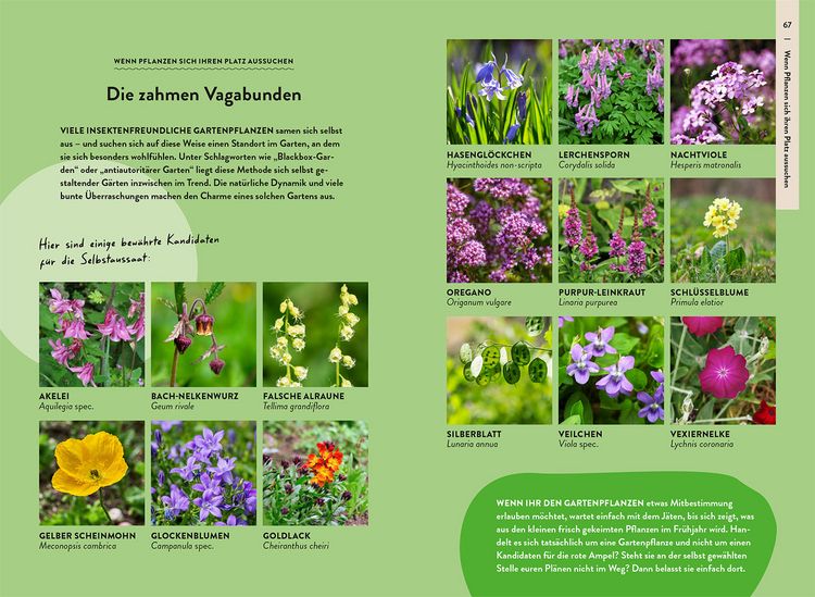 Produktbild: Garden Guide Wildkrautampel