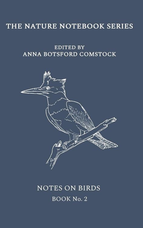 Produktbild: Notes on Birds 2