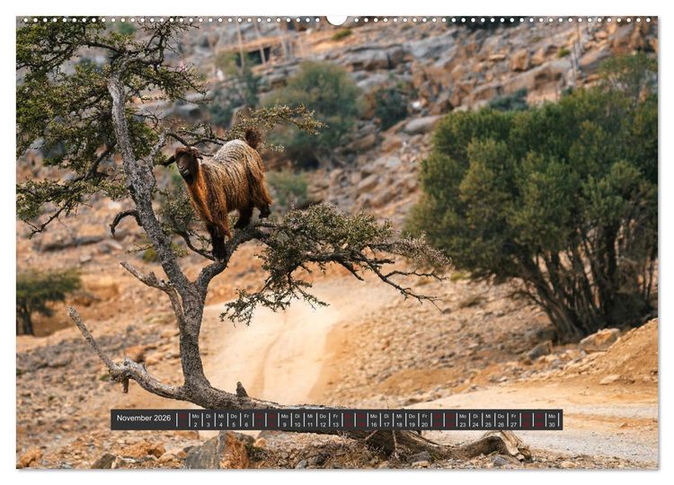 Produktbild: OMAN Offroad Travel Log (hochwertiger Premium Wandkalender 2026 DIN A2 quer), Kunstdruck in Hochglanz