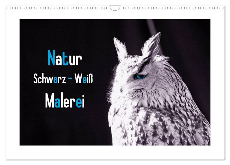 Produktbild: Natur schwarz - wei&szlig; Malerei (Wandkalender 2026 DIN A3 quer), CALVENDO Monatskalender