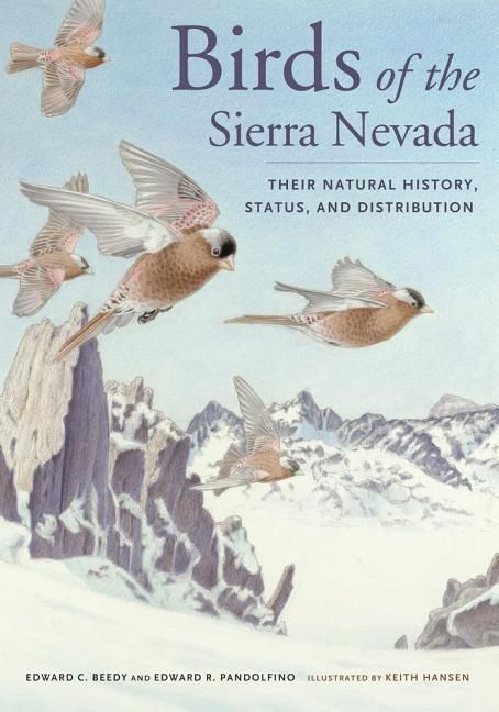 Produktbild: Beedy, E: Birds of the Sierra Nevada - Their Natural History