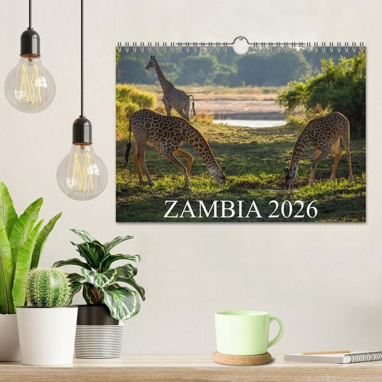 Produktbild: Zambia (Wall Calendar 2026 DIN A4 landscape), CALVENDO 12 Month Wall Calendar