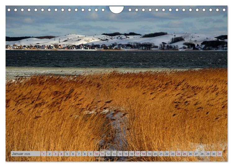 Produktbild: Halbinsel M&ouml;nchgut - R&uuml;gens sch&ouml;nste Seite (Wandkalender 2026 DIN A4 quer), CALVENDO Monatskalender