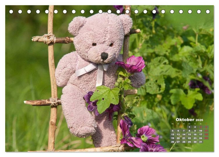 Produktbild: Geliebte B&auml;ren - Teddys (Tischkalender 2026 DIN A5 quer), CALVENDO Monatskalender