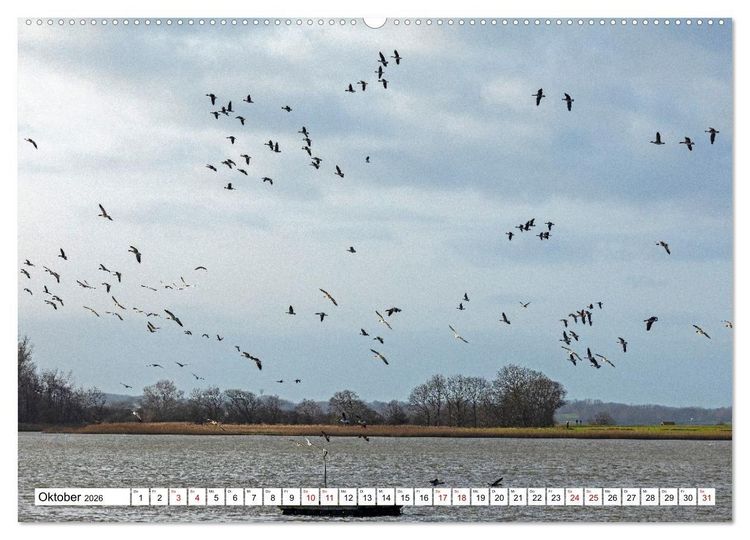 Produktbild: Angeln - Landschaft zwischen Schlei und Flensburger F&ouml;rde (hochwertiger Premium Wandkalender 2026 DIN A2 quer), Kunstdruck in Hochglanz
