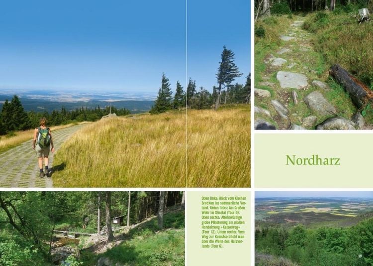 Produktbild: Vergessene Pfade Harz