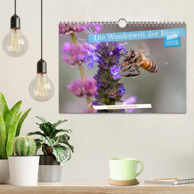 Produktbild: Die Wunderwelt der Biene (Wandkalender 2026 DIN A4 quer), CALVENDO Monatskalender