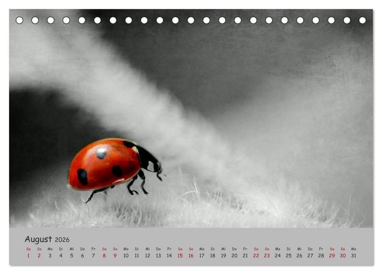 Produktbild: Gl&uuml;cksk&auml;fer (Tischkalender 2026 DIN A5 quer), CALVENDO Monatskalender