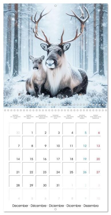 Produktbild: Animals of Arctic (Wall Calendar 2026 12 &times; 12 Inch) CALVENDO 12 Month Wall Calendar