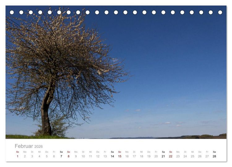 Produktbild: Wundersch&ouml;ne B&auml;ume im Sauerland (Tischkalender 2026 DIN A5 quer), CALVENDO Monatskalender