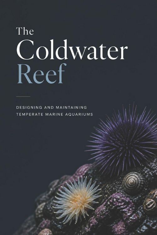 Produktbild: The Coldwater Reef