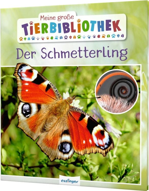 Produktbild: Meine große Tierbibliothek: Der Schmetterling