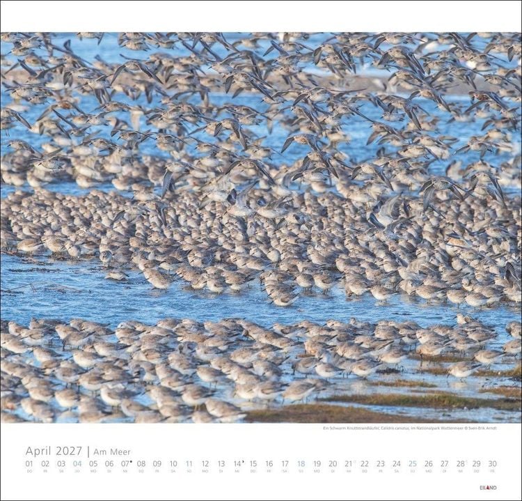 Produktbild: Am Meer Edition Kalender 2027 - Sand, Wind und Wellen