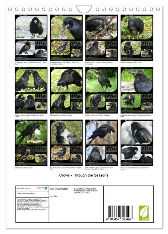 Produktbild: Crows - Through the Seasons (Wall Calendar 2026 DIN A4 portrait), CALVENDO 12 Month Wall Calendar
