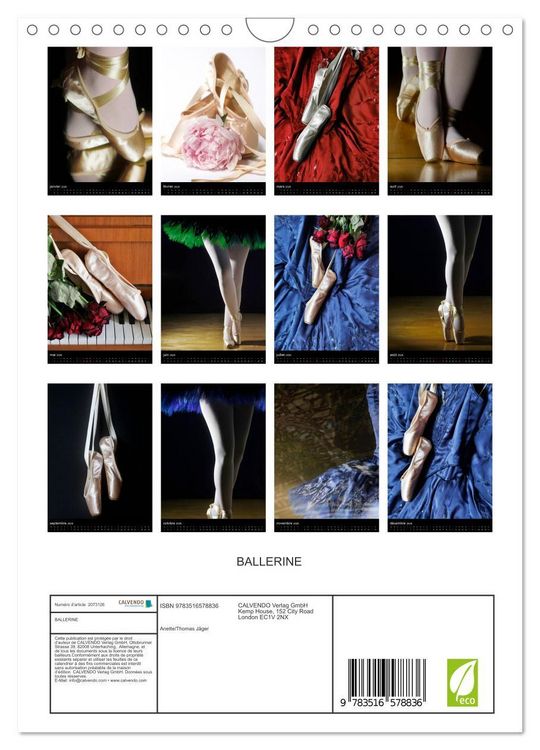 Produktbild: BALLERINE (Calendrier mural 2026 DIN A4 horizontal), CALVENDO calendrier mensuel