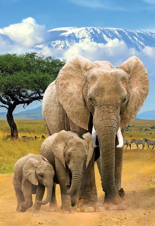 Produktbild: Kinder Puzzle 250 Teile - Elephants