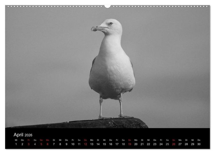 Produktbild: Willkommen in Cuxhaven (Wandkalender 2026 DIN A2 quer), CALVENDO Monatskalender