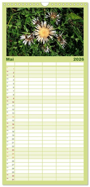 Produktbild: Familienplaner 2026 - Mangfallgebirge mit 5 Spalten (Wandkalender, 21 x 45 cm) CALVENDO