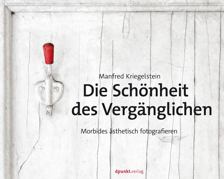 Produktbild: Die Sch&ouml;nheit des Verg&auml;nglichen