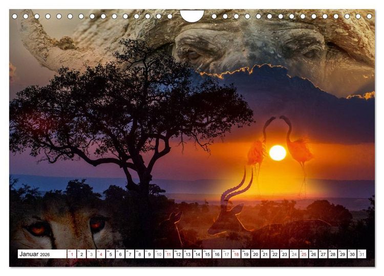 Produktbild: Emotionale Momente: African Dreams (Wandkalender 2026 DIN A4 quer), CALVENDO Monatskalender