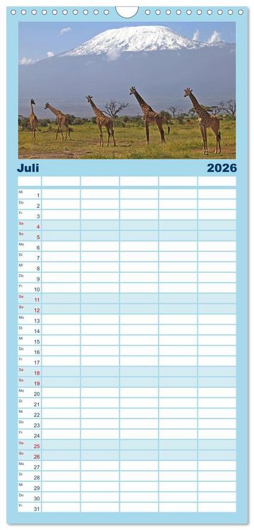Produktbild: Familienplaner 2026 - Giraffen - Sanftheit und Anmut mit 5 Spalten (Wandkalender, 21 x 45 cm) CALVENDO