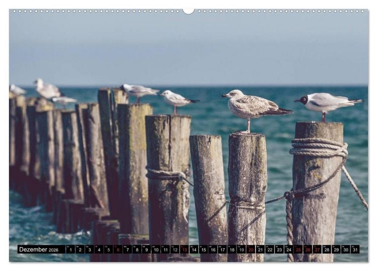 Produktbild: Ostsee - Tr&auml;ume vom Meer (Wandkalender 2026 DIN A2 quer), CALVENDO Monatskalender