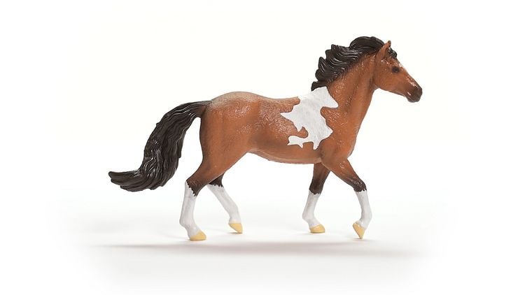 Produktbild: schleich&reg; Horse Club Mangalarga Marchador Hengst 11,3cm
