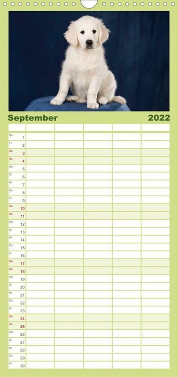 Produktbild: Familienplaner Golden Retriever (Wandkalender 2022 , 21 cm x 45 cm, hoch)